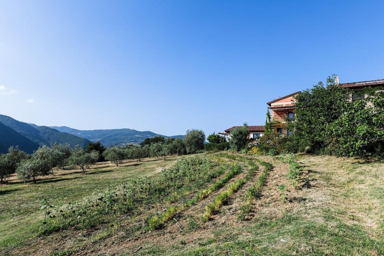 Agriturismo La Fontaccia Rufina المظهر الخارجي الصورة