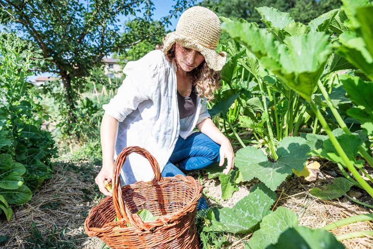 Agriturismo La Fontaccia Rufina المظهر الخارجي الصورة