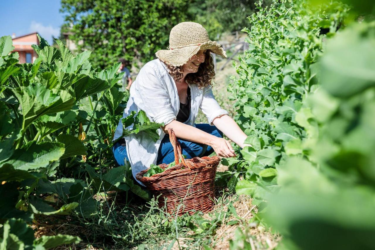 Agriturismo La Fontaccia Rufina المظهر الخارجي الصورة