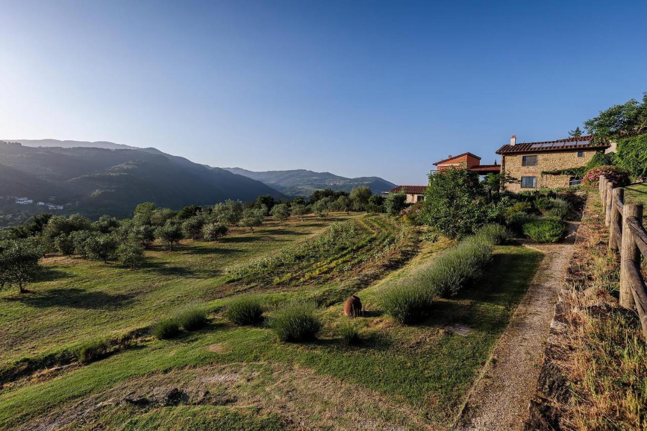 Agriturismo La Fontaccia Rufina المظهر الخارجي الصورة