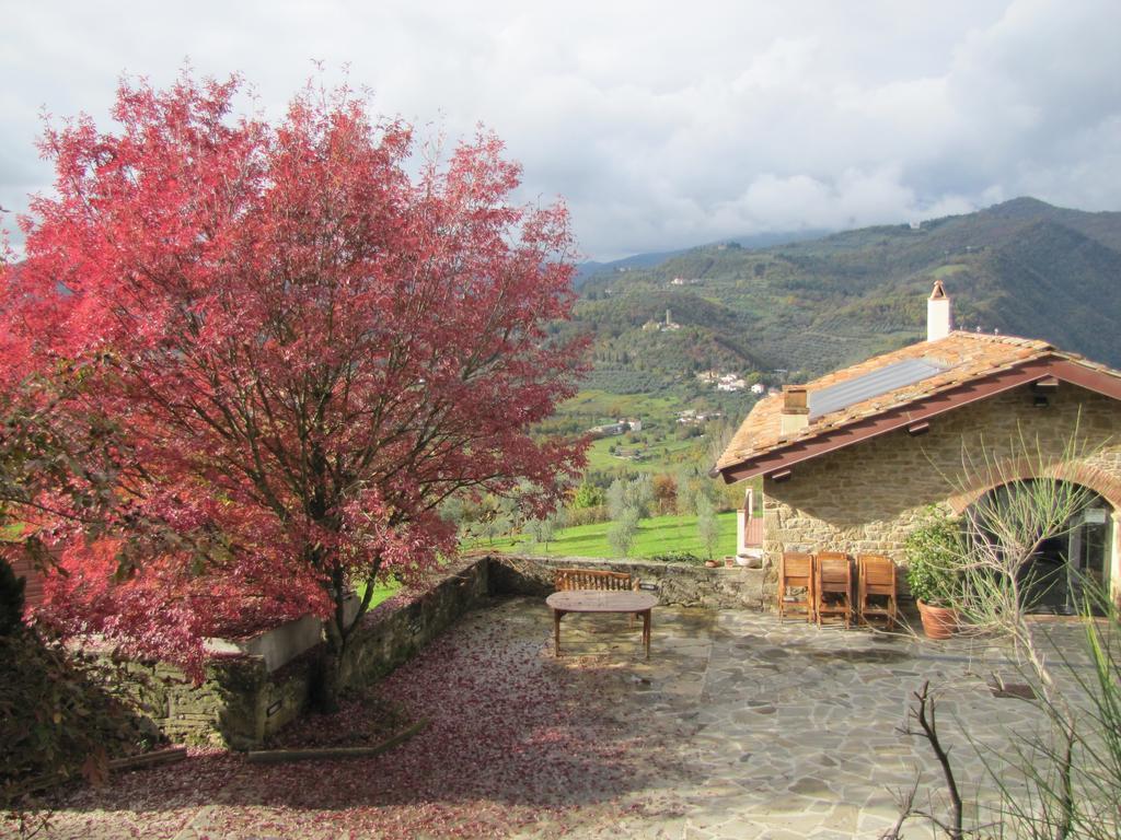 Agriturismo La Fontaccia Rufina المظهر الخارجي الصورة