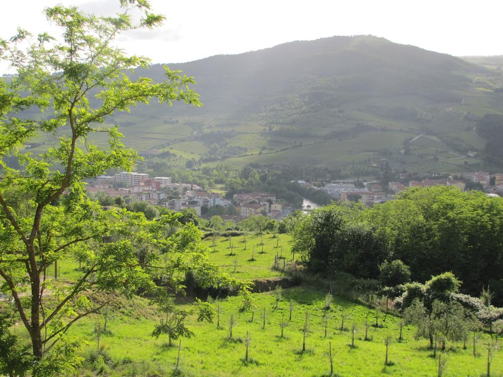 Agriturismo La Fontaccia Rufina المظهر الخارجي الصورة