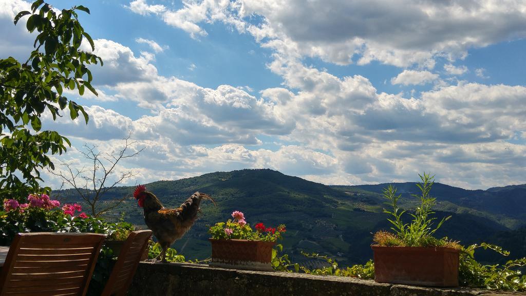 Agriturismo La Fontaccia Rufina المظهر الخارجي الصورة