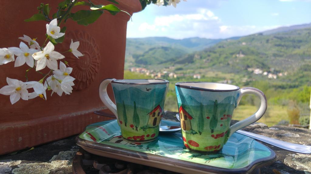 Agriturismo La Fontaccia Rufina المظهر الخارجي الصورة