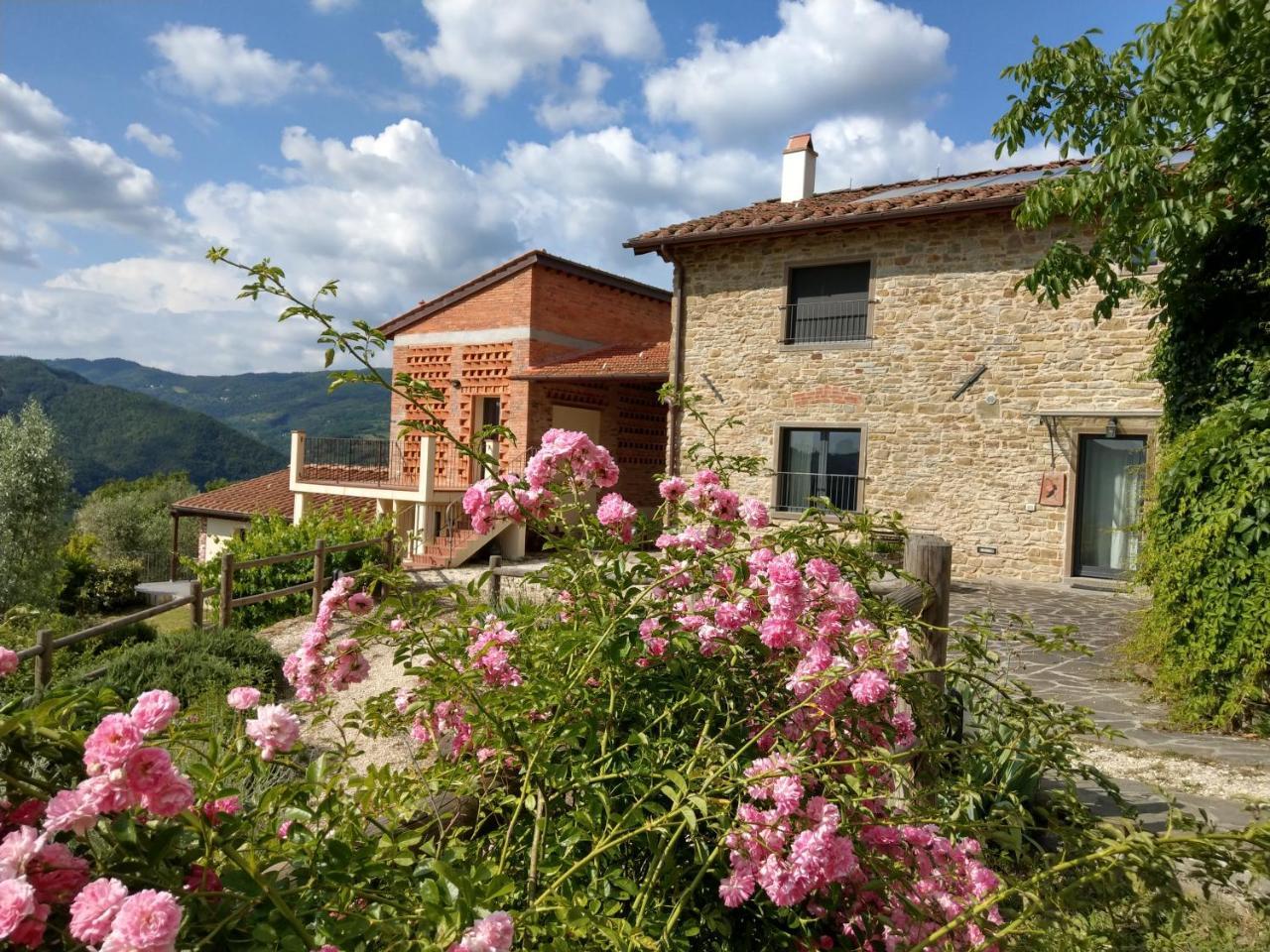 Agriturismo La Fontaccia Rufina المظهر الخارجي الصورة